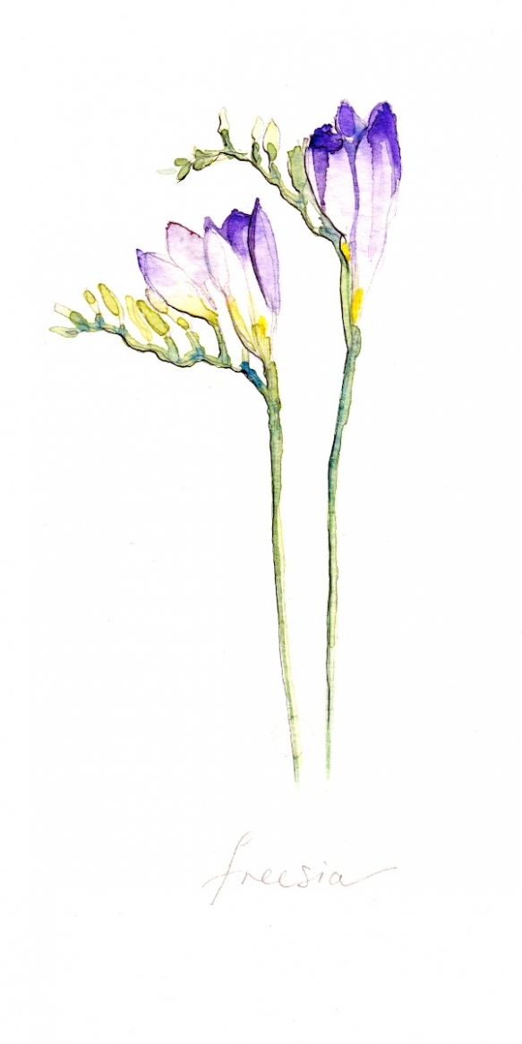 Wedding Flowers Cornwall 2